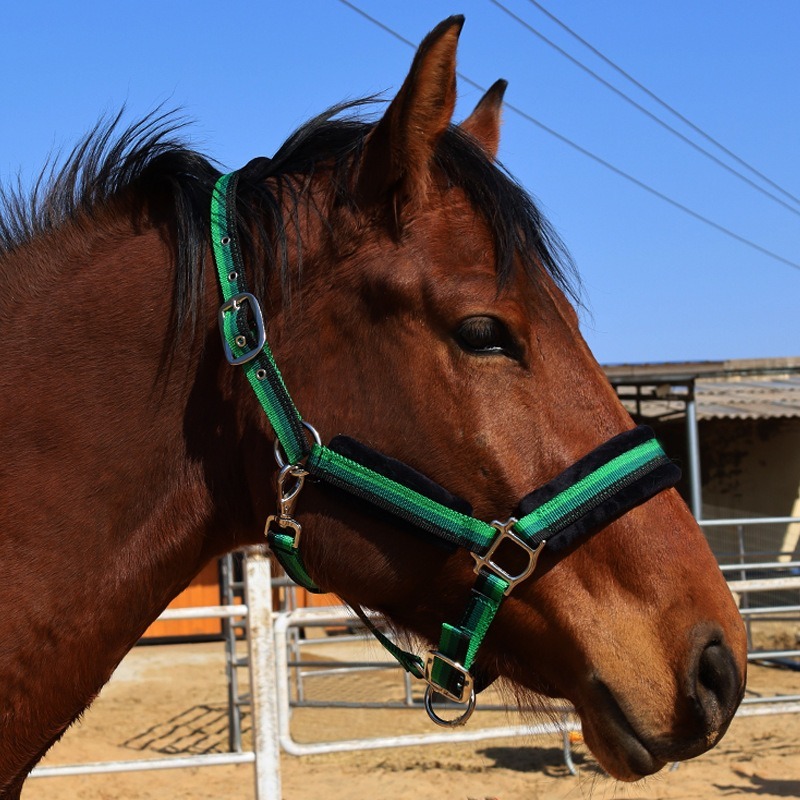 Износостойкий текстильный набо – обзор и цена Headcollar Rope Set